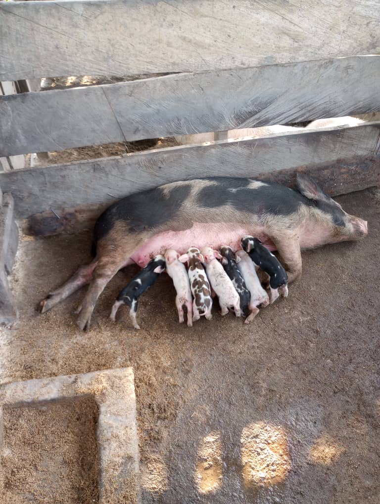 WhatsApp Image 2024-06-14 at 23.13.59